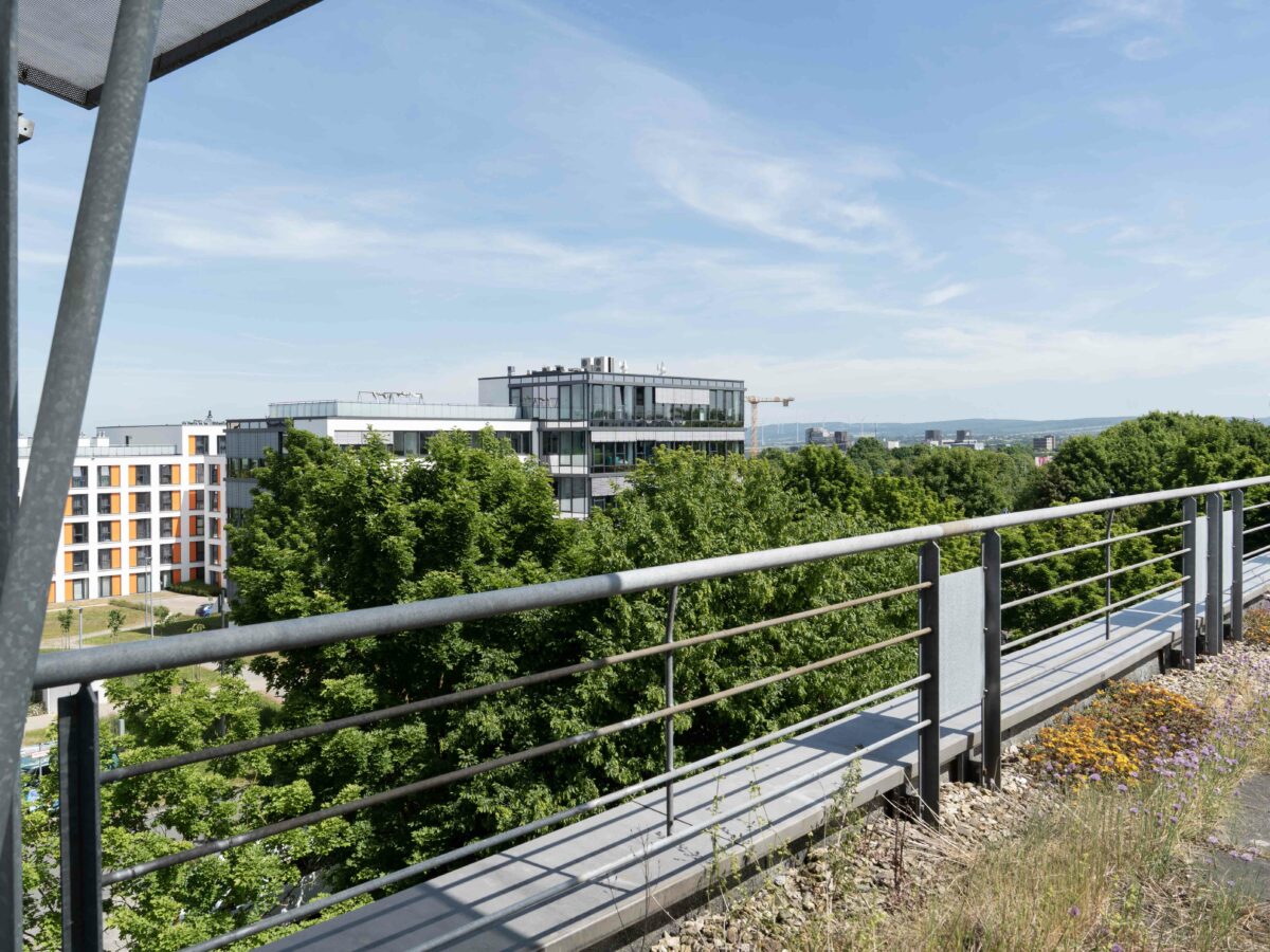 Terrassenausblick